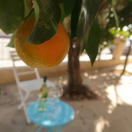 Bungalow With Fruit Garden Close To The Beach Tatil Evi