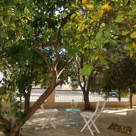 Ferienhaus Bungalow With Fruit Garden Close To The Beach *