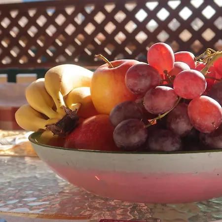 Ferienhaus Bungalow With Fruit Garden Close To The Beach *